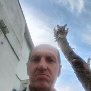 ���������� ������ ��������, ���� ������� �������, 55 ���, ������������ ��� c�������� ���������