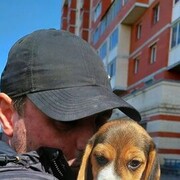 ���������� �����-���������, ���� ������� ������, 41 ���, ������������ ��� ������, ����� � ���������, c�������� ���������