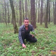 ���������� ������, ���� ������� ����, 36 ���, ������������ ��� ������, ����� � ���������, c�������� ���������