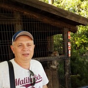  ,   , 54 ,   ,   , c 