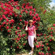 ���������� �����������, ���� ������� ����, 67 ���, ������������ ��� ������, ����� � ���������, c�������� ���������