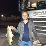  ,  Aleksandr, 36