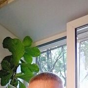 ���������� ������, ���� ������� ���������, 41 ���, ������������ ��� ����� � ���������, c�������� ���������