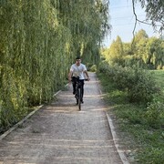 ���������� ������, ���� ������� ������, 33 ����, ������������ ��� ������, ����� � ���������