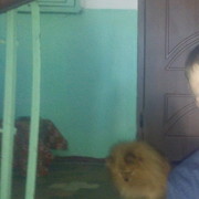  ,   , 35 ,     , c 