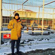 ���������� ������, ������� ������, 27