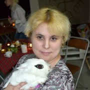 ���������� �����������, ������� �������, 42