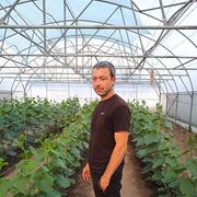 ,   , 40 ,   ,   