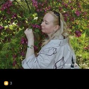 ���������� �����, ���� ������� ������, 52 ����, ������������ ��� c�������� ���������