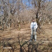  Warszawa,   Faxri, 33 ,   ,   