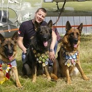 ���������� ������, ���� ������� Syberiya, 40 ���, ������������ ��� ����� � ���������, c�������� ���������