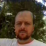  ,   Viitalic, 41 ,   