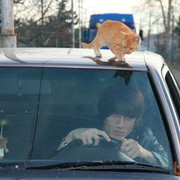 ���������� ������, ���� ������� Dima, 36 ���, ������������ ��� ������