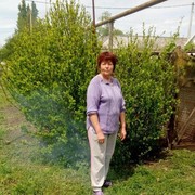  ,   , 63 ,  