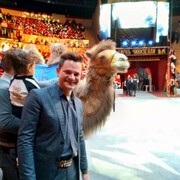 ���������� �����-���������, ���� ������� ��������, 38 ���, ������������ ��� ������, ����� � ���������, c�������� ���������