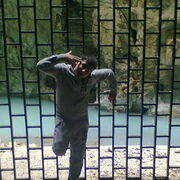 ���������� ���������, ���� ������� ������, 34 ����, ������������ ��� ������, ����� � ���������, c�������� ���������