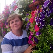 ���������� ��������, ���� ������� ��������, 55 ���, ������������ ��� c�������� ���������