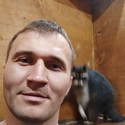 ���������� �����������, ���� ������� �����, 36 ���, ������������ ��� ������, ����� � ���������