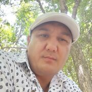  ,   FAYOZ, 46 ,   ,   , c , 