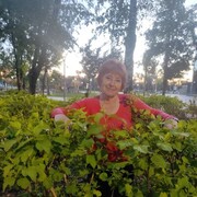  ,   , 62 ,   ,   , 