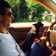 ���������� ��������, ���� ������� �����, 38 ���, ������������ ��� ������, ����� � ���������, c�������� ���������