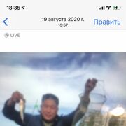  ,   Anuar, 44 ,   ,   