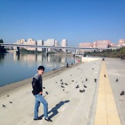 ���������� ��������, ���� ������� Gadam, 31 ���, ������������ ��� ������, ����� � ���������, c�������� ���������