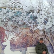 ���������� ������, ���� ������� �������, 51 ���, ������������ ��� ������, ����� � ���������