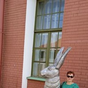 ���������� �����������, ������� �������, 49