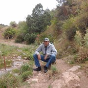  ,   , 51 ,   ,   , c 
