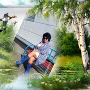  ,   , 63 ,   , 