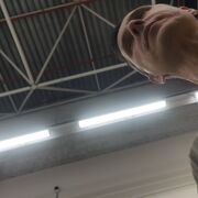  ,  , 47
