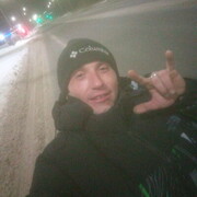  ,   Kot, 31 ,   ,   