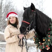 ���������� ������ ��������, ���� ������� ����������, 50 ���, ������������ ��� ����� � ���������, c�������� ���������, ���������