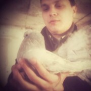  ,   AleksandR, 38 ,   ,   