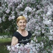  ,   , 56 ,     