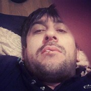   ,  Bos, 42