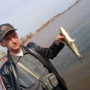  ,   , 58 ,     , c 
