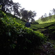 ������ ��������� � �����