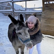 ���������� �����-���������, �������