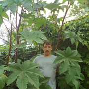  ,   Eduard, 47 ,   , 