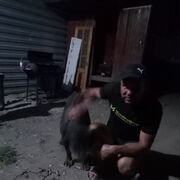  ,   , 40 ,     , c 