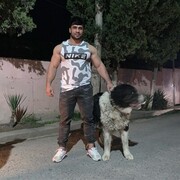 ���������� ������, ���� ������� ����, 41 ���, ������������ ��� ������, ����� � ���������, c�������� ���������