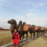  ,   , 47 ,   c 