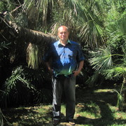  ,   , 53 ,   