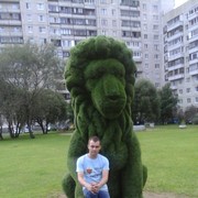 ���������� �����-���������, ���� ������� ���������, 41 ���, ������������ ��� ����� � ���������, c�������� ���������