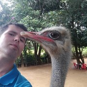 ���������� ������, ���� ������� �������, 38 ���, ������������ ��� ������, ����� � ���������, c�������� ���������