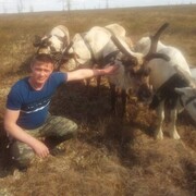 ���������� ����, ���� ������� ��������, 40 ���, ������������ ��� ������, ����� � ���������