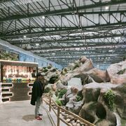 ���������� ������, ���� ������� JON WELK, 26 ���, ������������ ��� ������, ����� � ���������