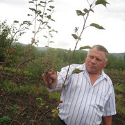  ,  vitaliy, 76